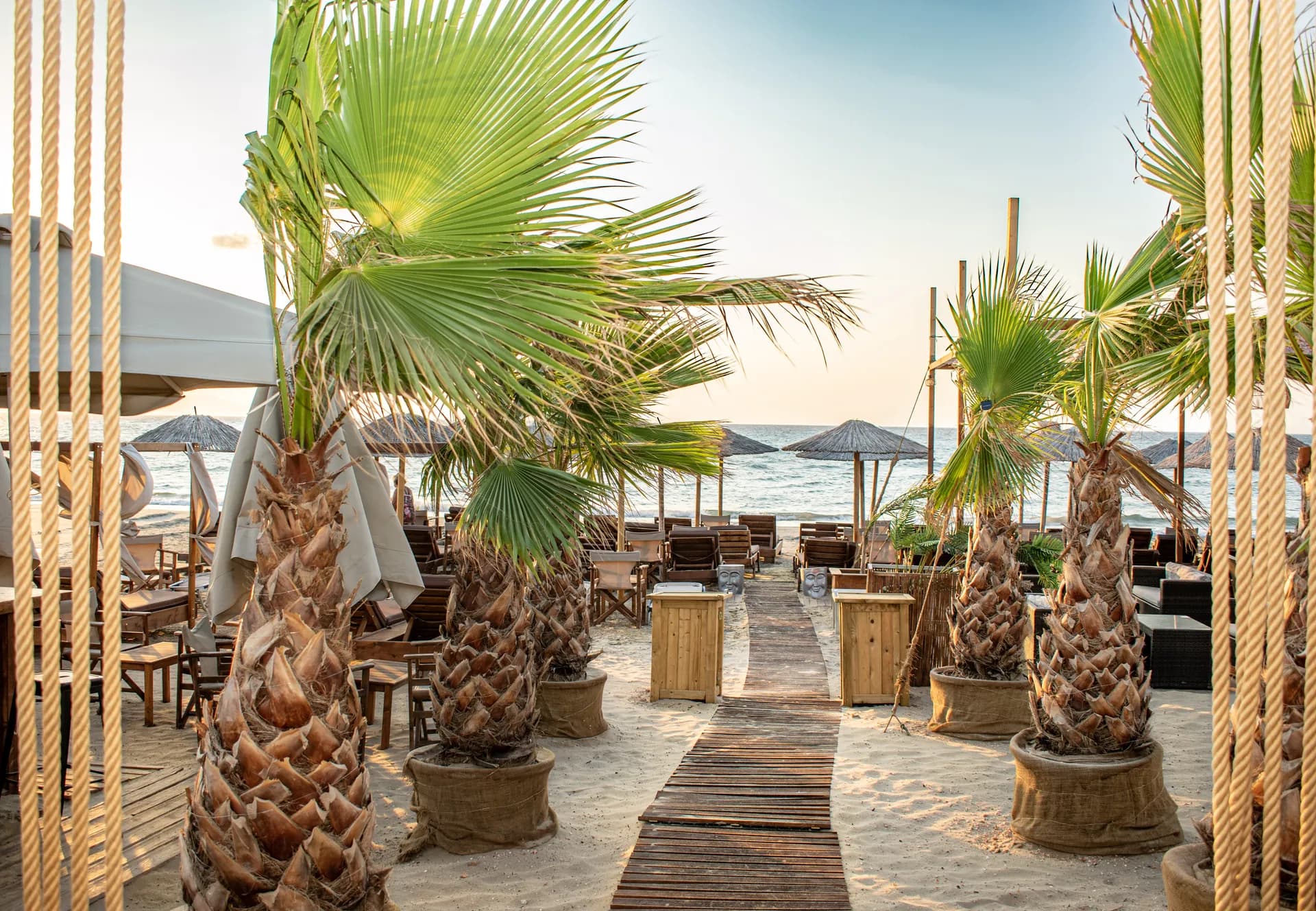 Φοίνικες και ξύλινο μονοπάτι στο beach club